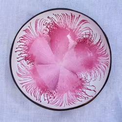 Coconut Bowl Kokosskål - rosa blomma