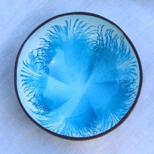 Coconut bowl Kokosskål - blå blomma