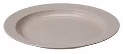 Tallrik i bioplast - 25 cm