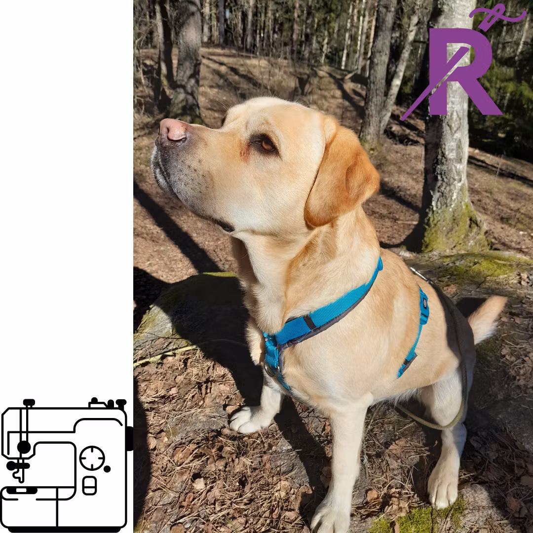 Laga hundkläder