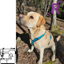 Laga hundkläder