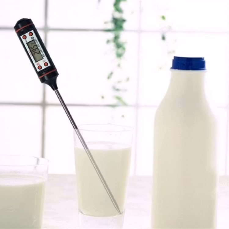 Digital Stektermometer / Baktermometer LCD Display