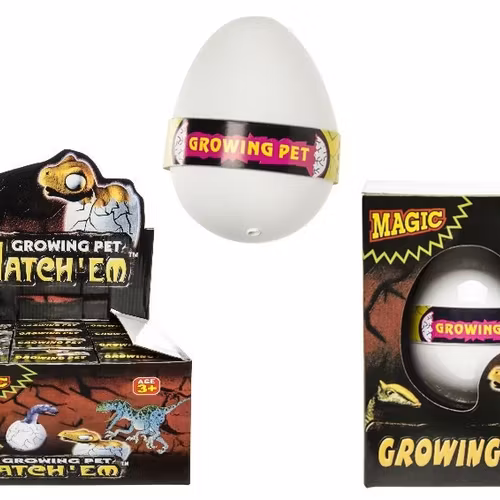 Dino ägg i låda - ca 10,5x7,5x5,5cm - Dino växer