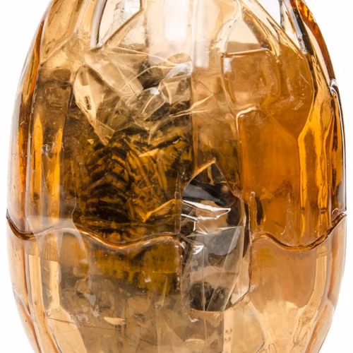 Dinosaurie Ägg i Plast