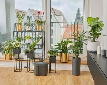 Semesterbevattning med vattenbehållare - GARDENA