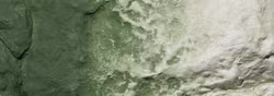 WSC1228 - "Earth Colors", green undercoat - Woodland Scenics