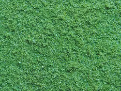 NO07350 - Vegetation (mark) - Noch