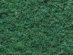 NO07352 - Vegetation (mark) - Noch