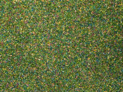 NO08401 - Gräs, sommarblommor - Noch