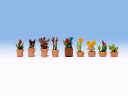 NO14080 - Blomplantor i krukor - Noch
