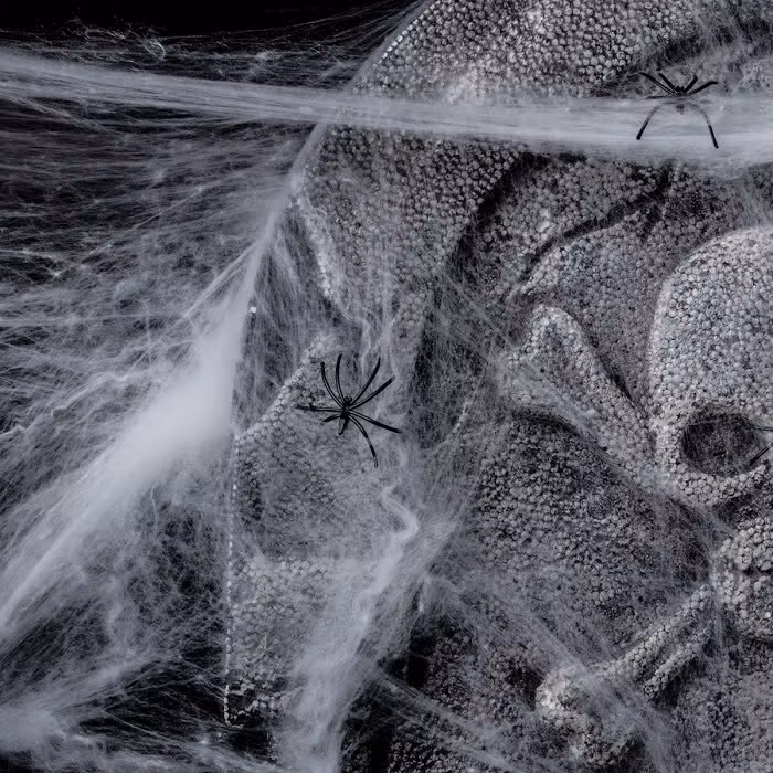 Spindelnät Jättepåse