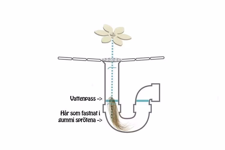 DrainWig avloppsräddare 2-pack