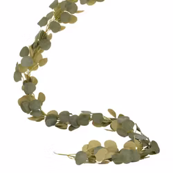 Girlang Eucalyptus Grön