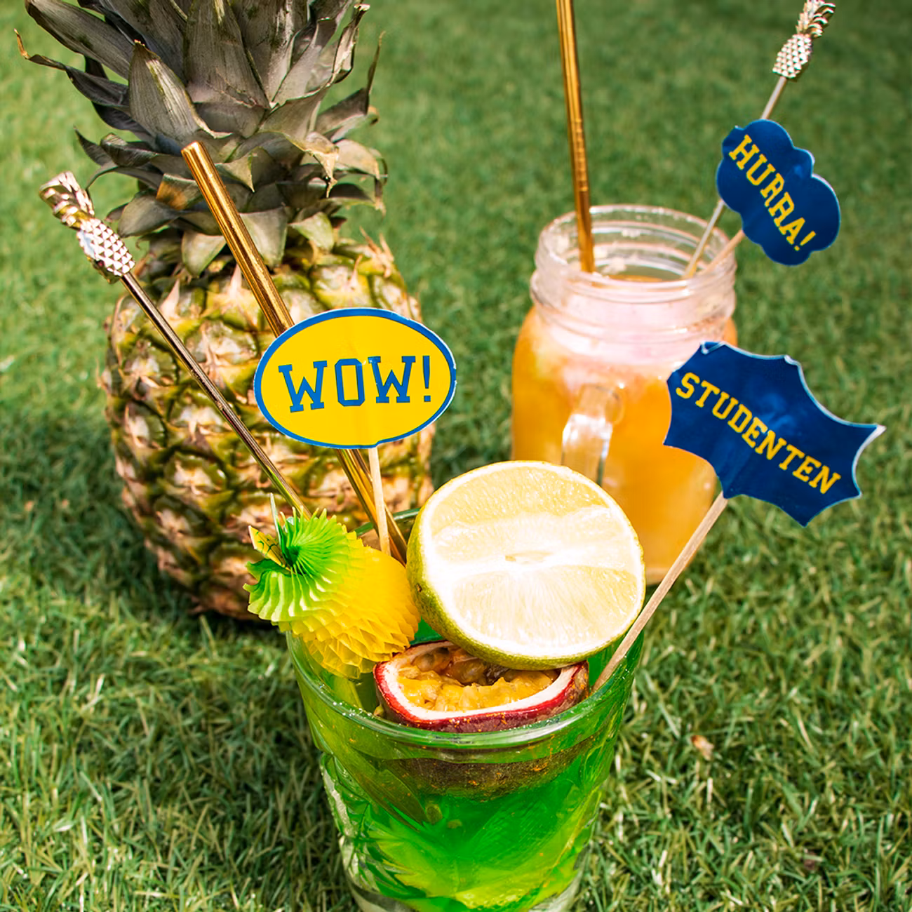 Partypicks Studenten