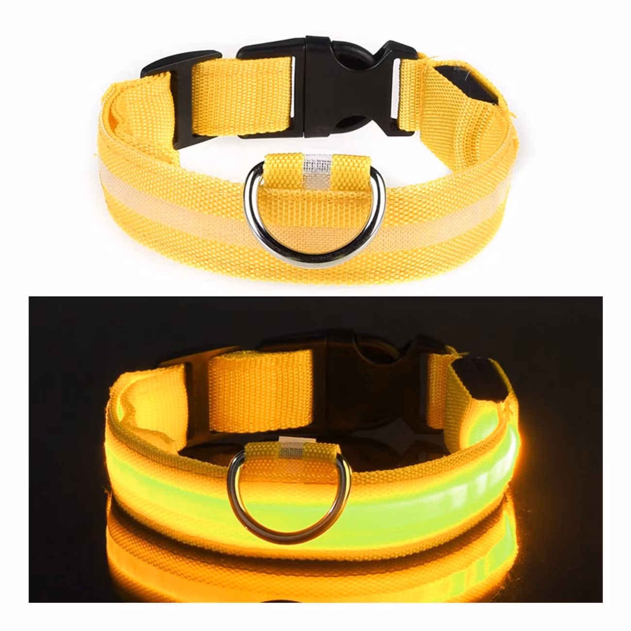 LED Hundhalsband