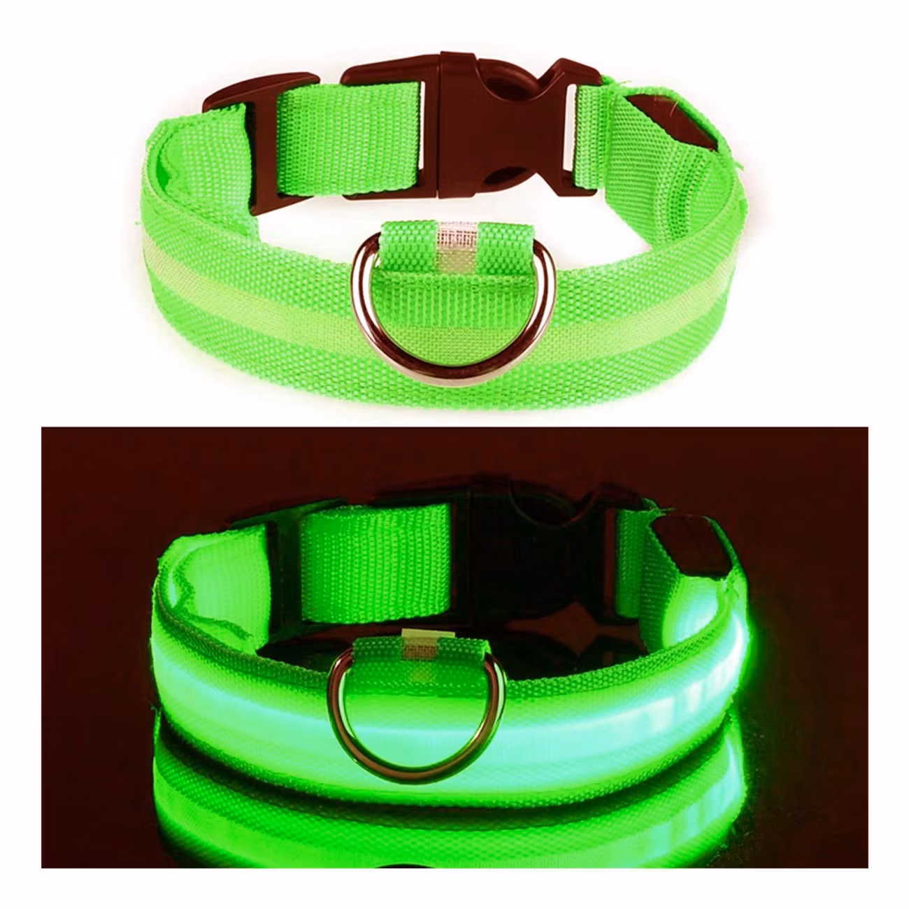 LED Hundhalsband