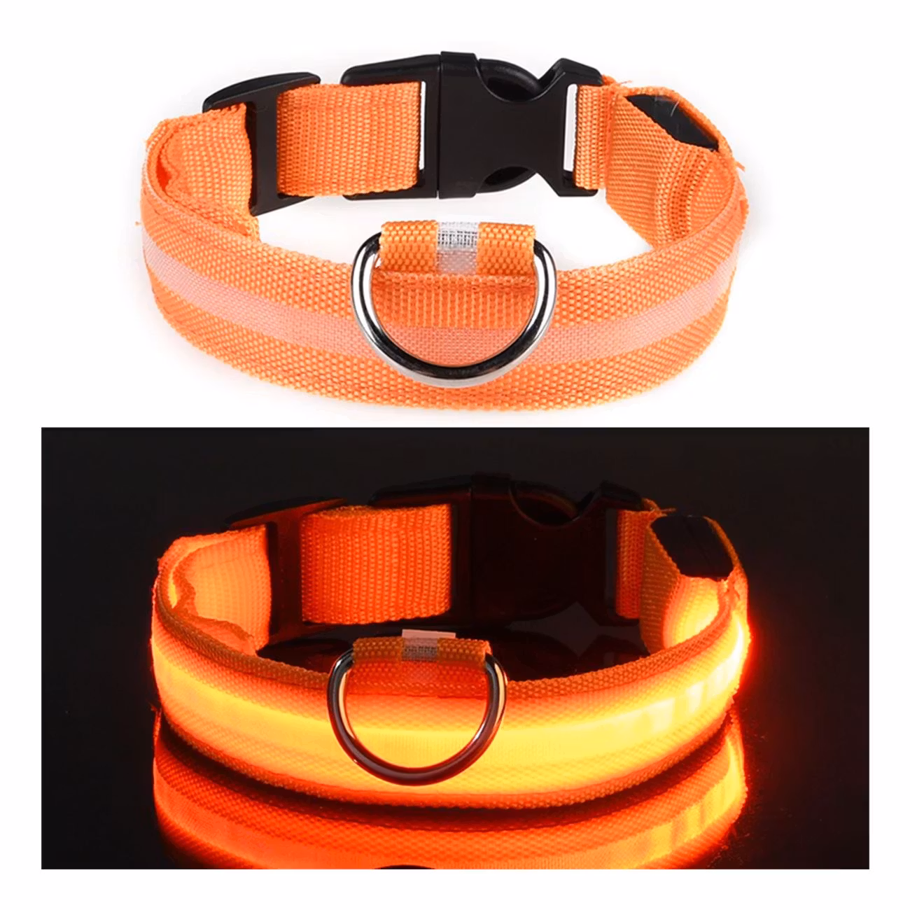 LED Hundhalsband