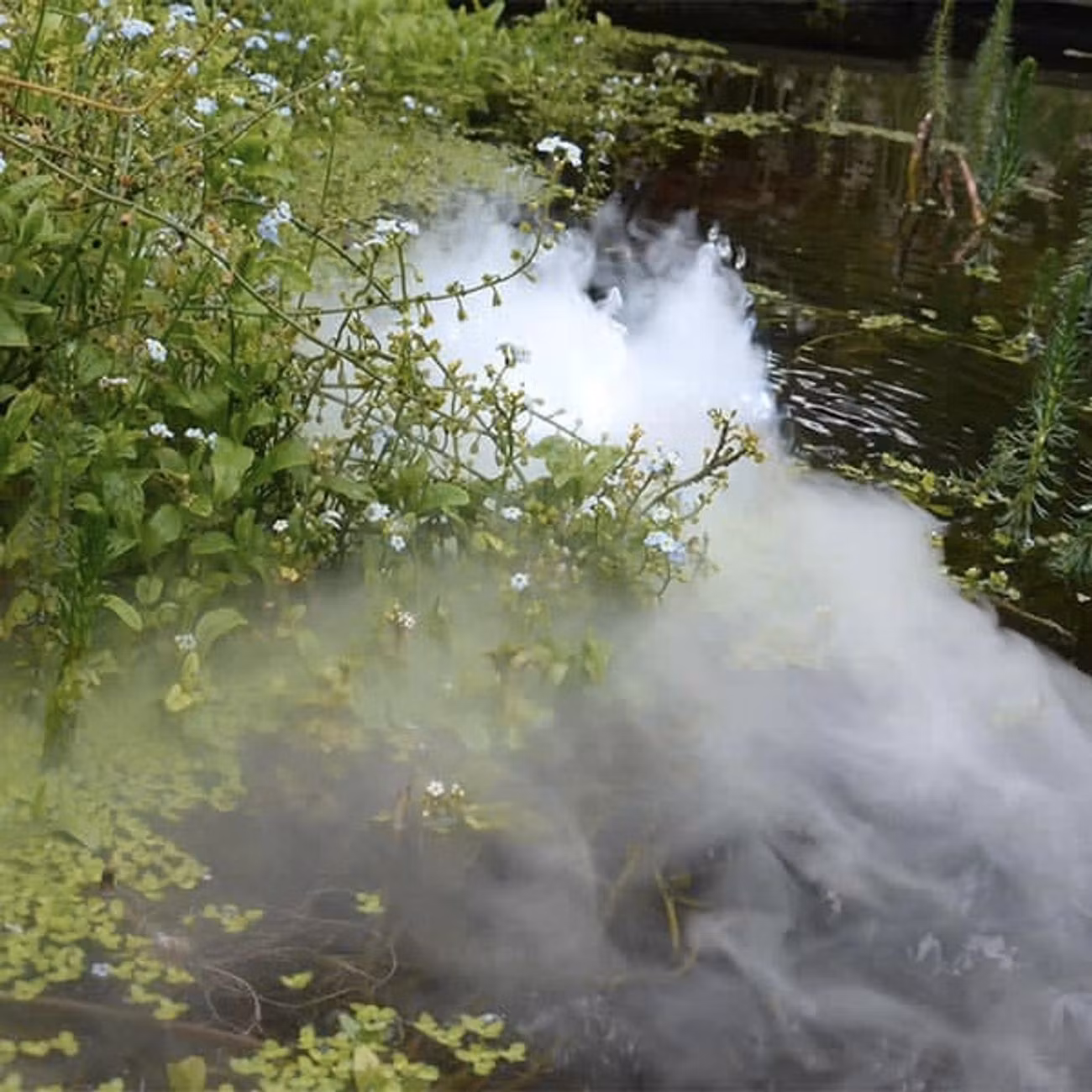 Rökmaskin till Vatten Pro