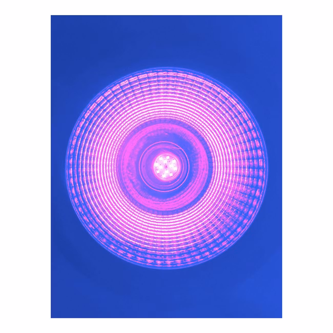 Stage Effects UV LED Spot