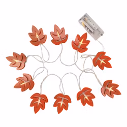 Ljusslinga Höstlöv