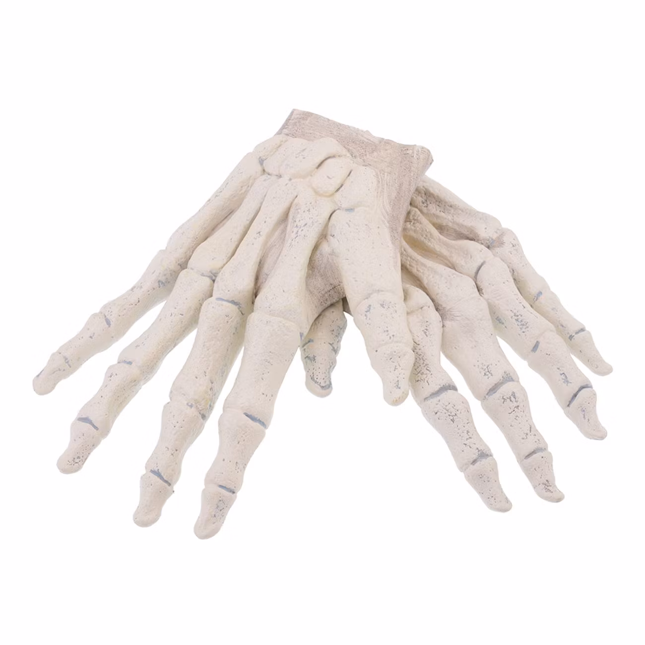 Skeletthänder Handskar