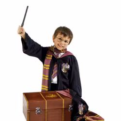 Harry Potter Tillbehörskit med Kista