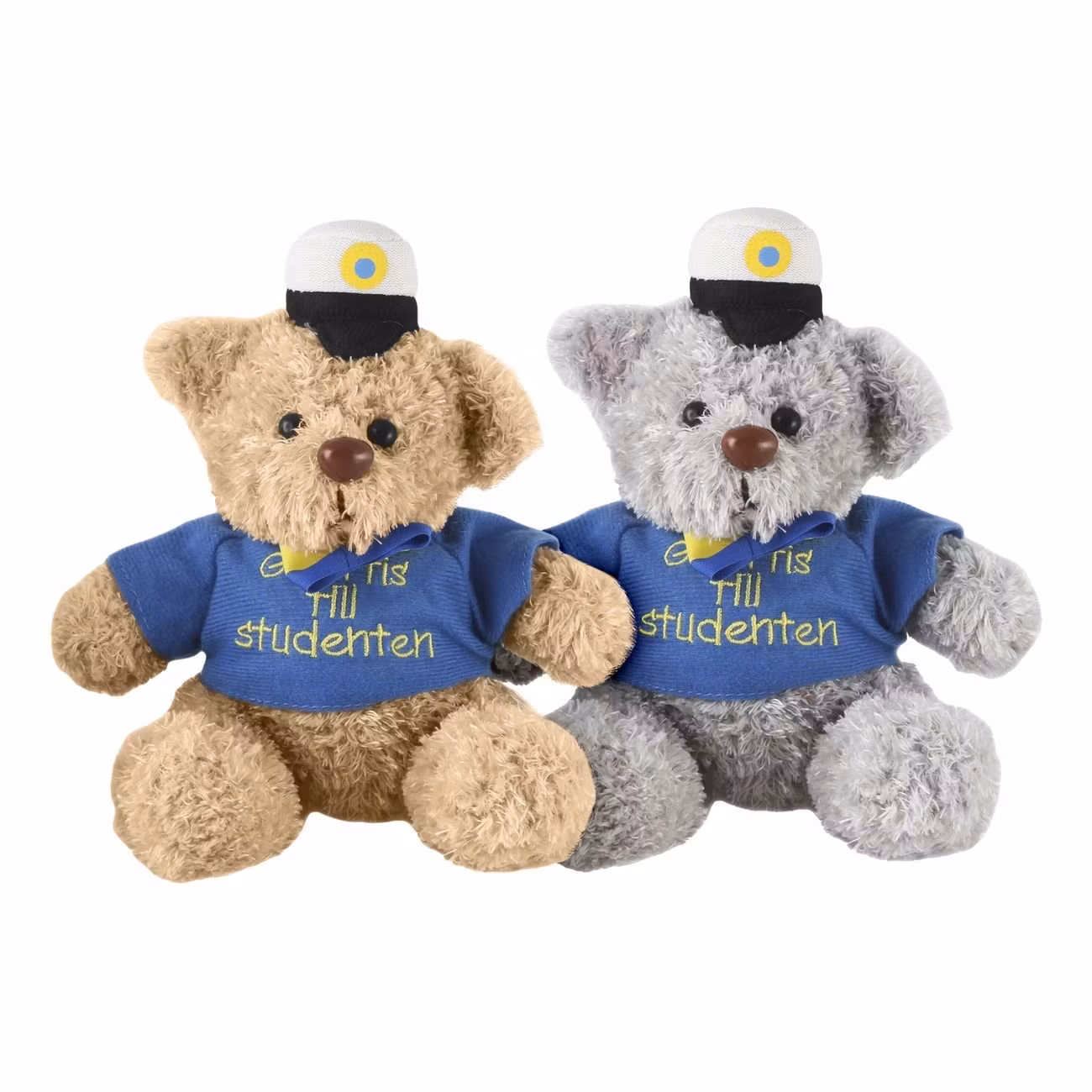 Studentbjörn med Tröja