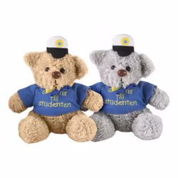 Studentbjörn med Tröja