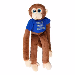 Studentnalle Apa med T-shirt