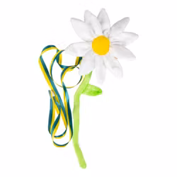 Studentnalle Prästkrage