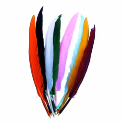 Fjäderpenna Kulspets