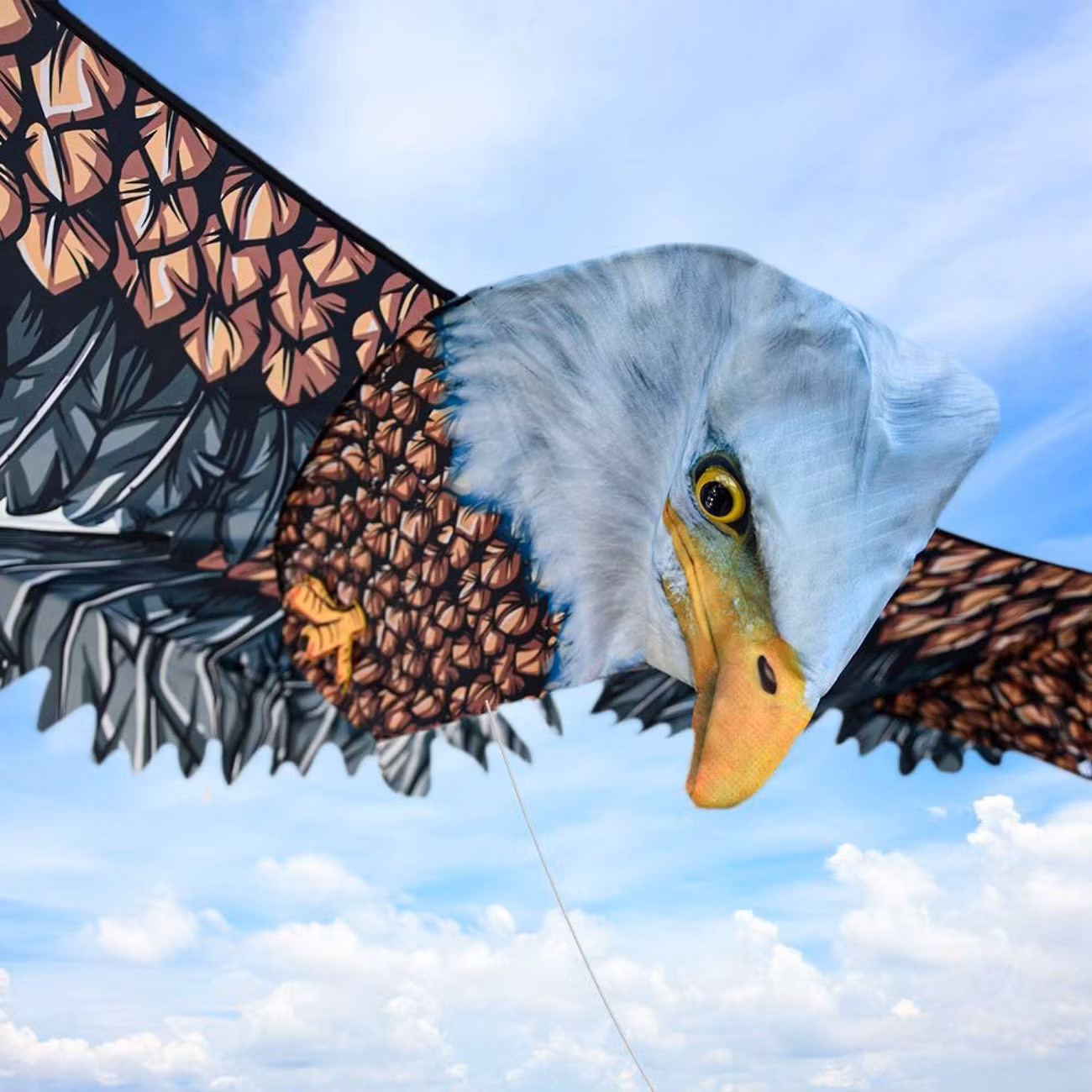 Gigantisk Flygdrake Örn