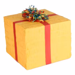 Pinata Födelsedagspaket