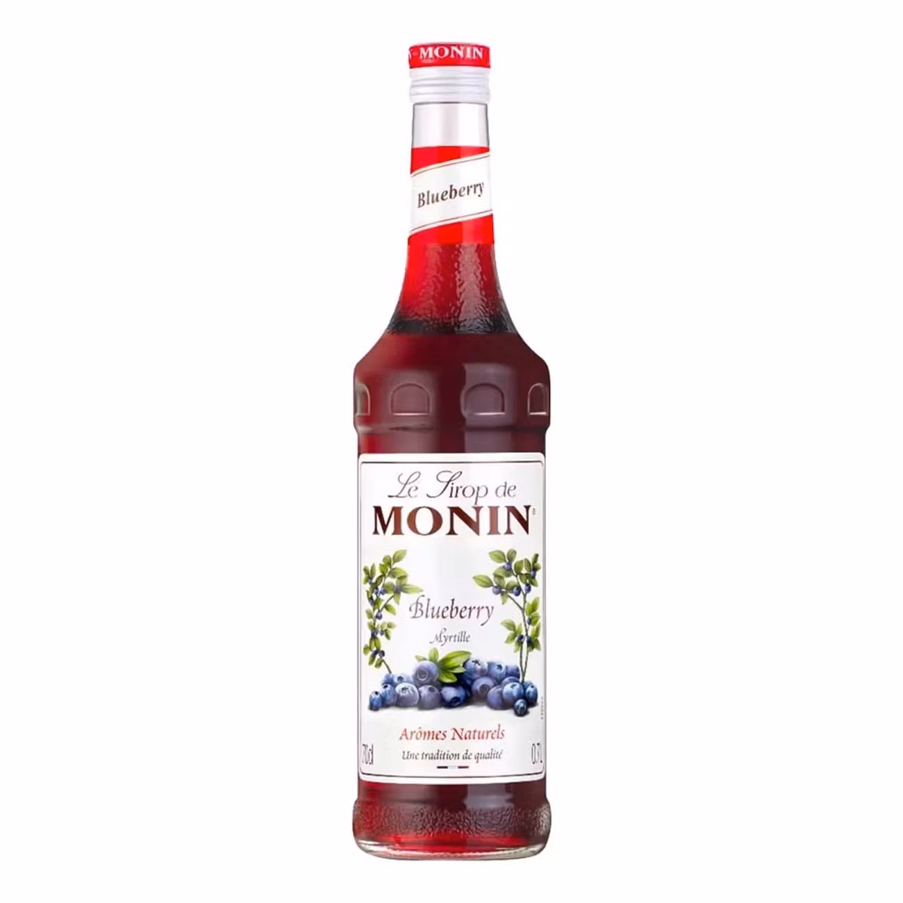 Monin Blueberry Syrup