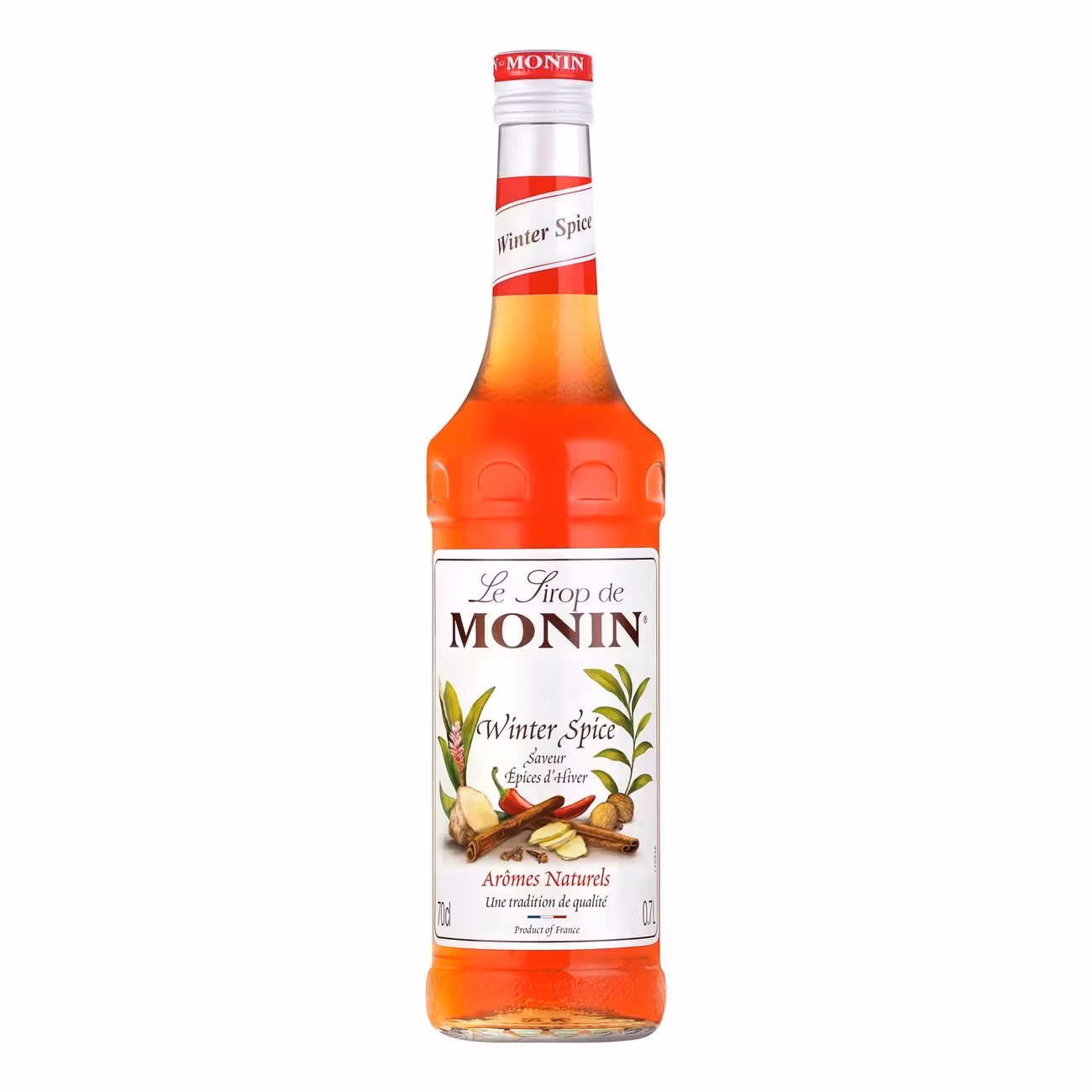Monin Winter Spice Syrup