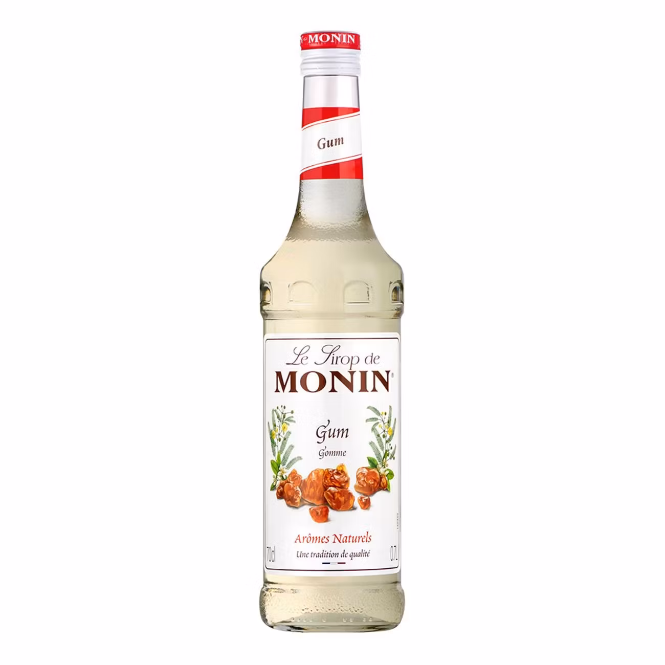 Monin Gomme Syrup