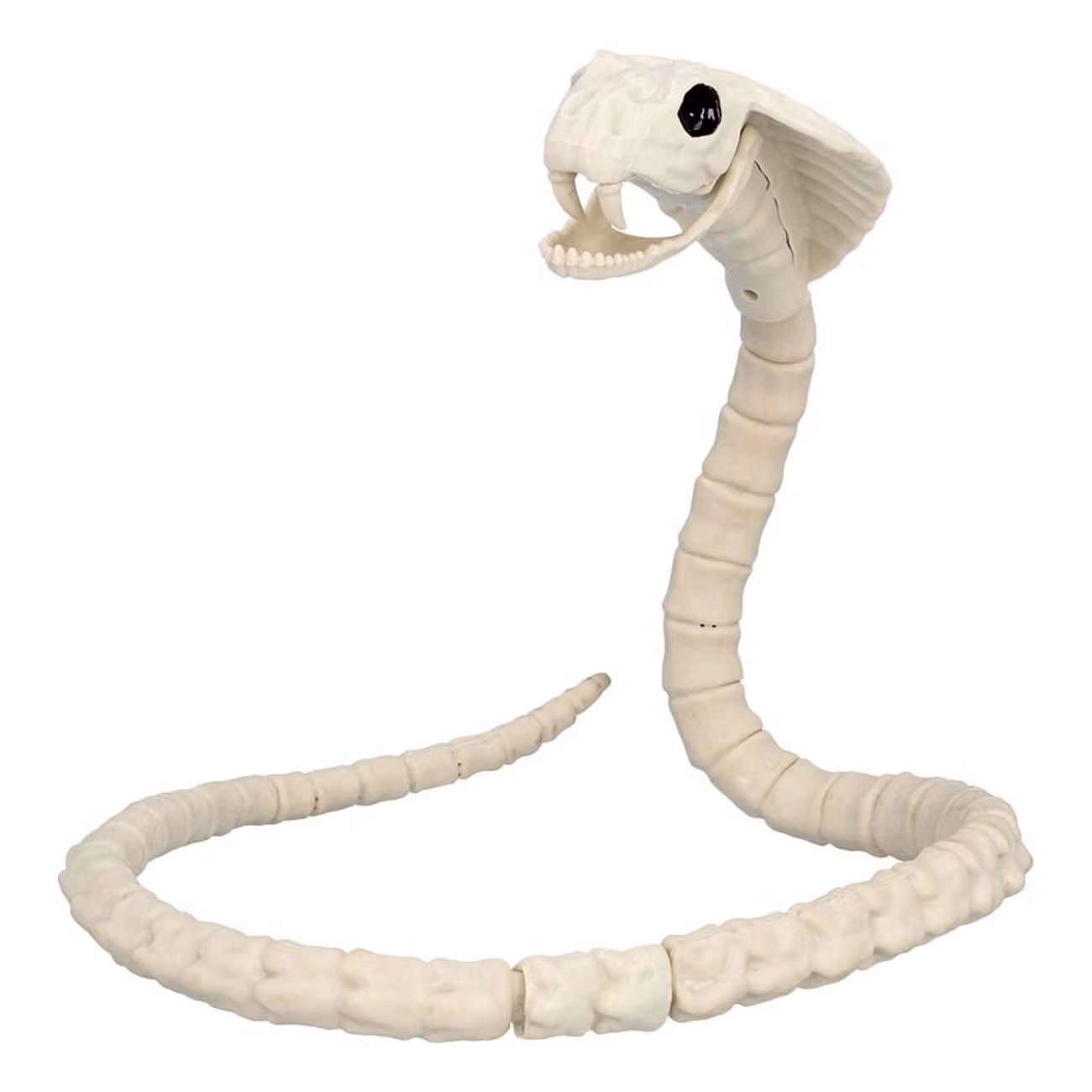 Djurskelett Orm Prop