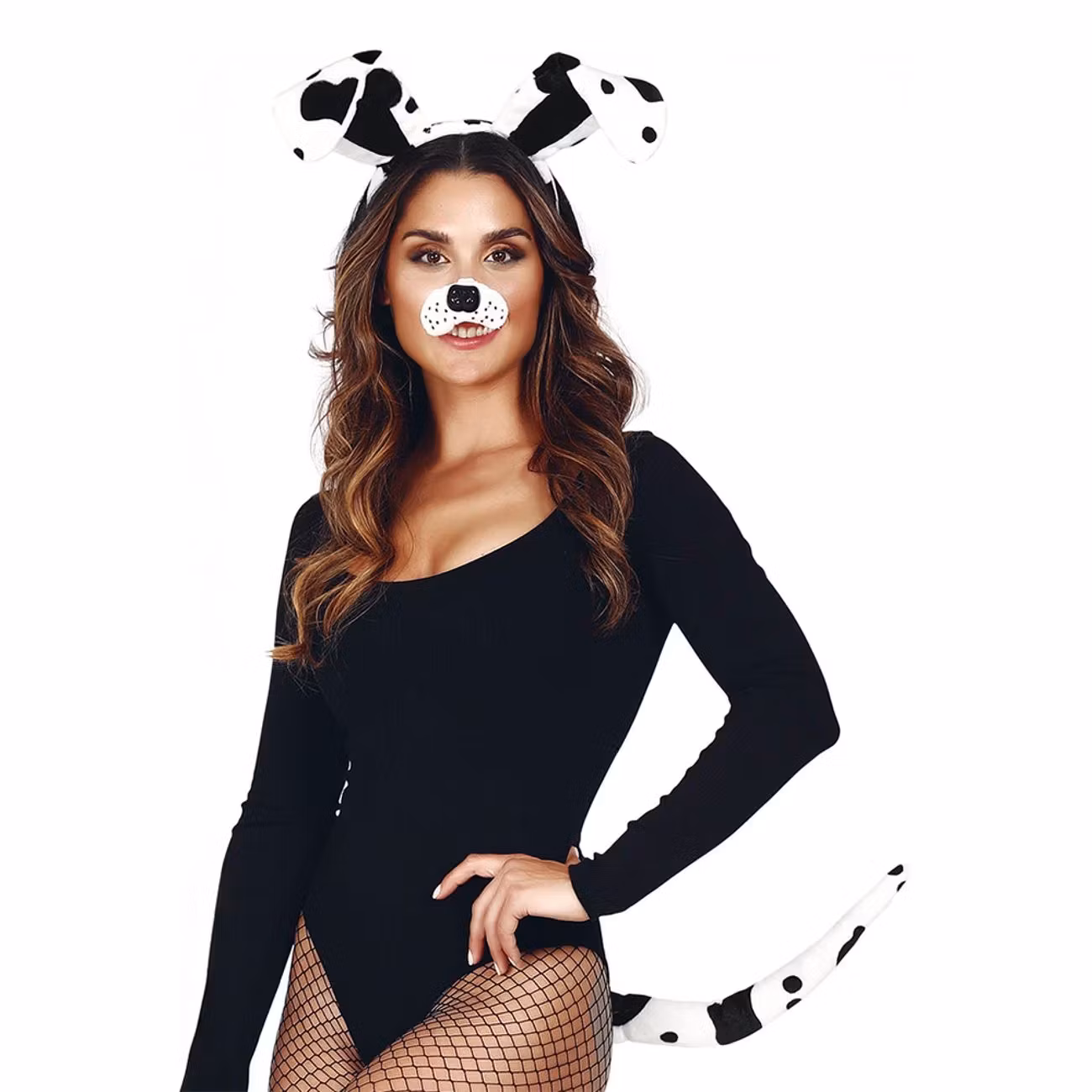 Dalmatin Tillbehörskit