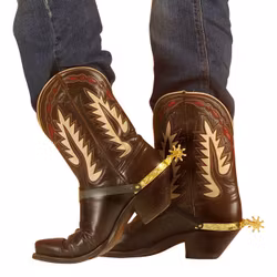 Cowboysporrar Guld