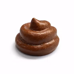 Skämtartikel Bajshög