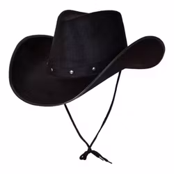 Cowboyhatt Svart