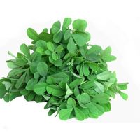 Methi leaves 2.5kg (10 bunches)