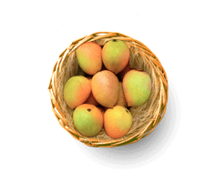 Mango Payari - 3kg box