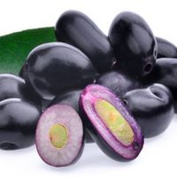Jamun Fruit 3.6 kg box (8x450gm packets)