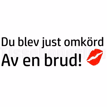 Bildekal Du Blev Just Om Körd Av En Brud