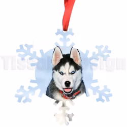 Juldekoration – Snöstjärna med eget foto