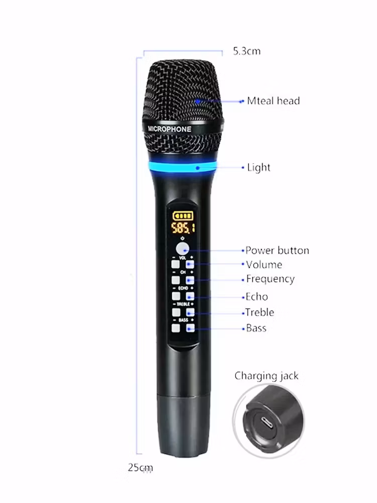 Professionell 2kanalerc uhf mikrofonsystem