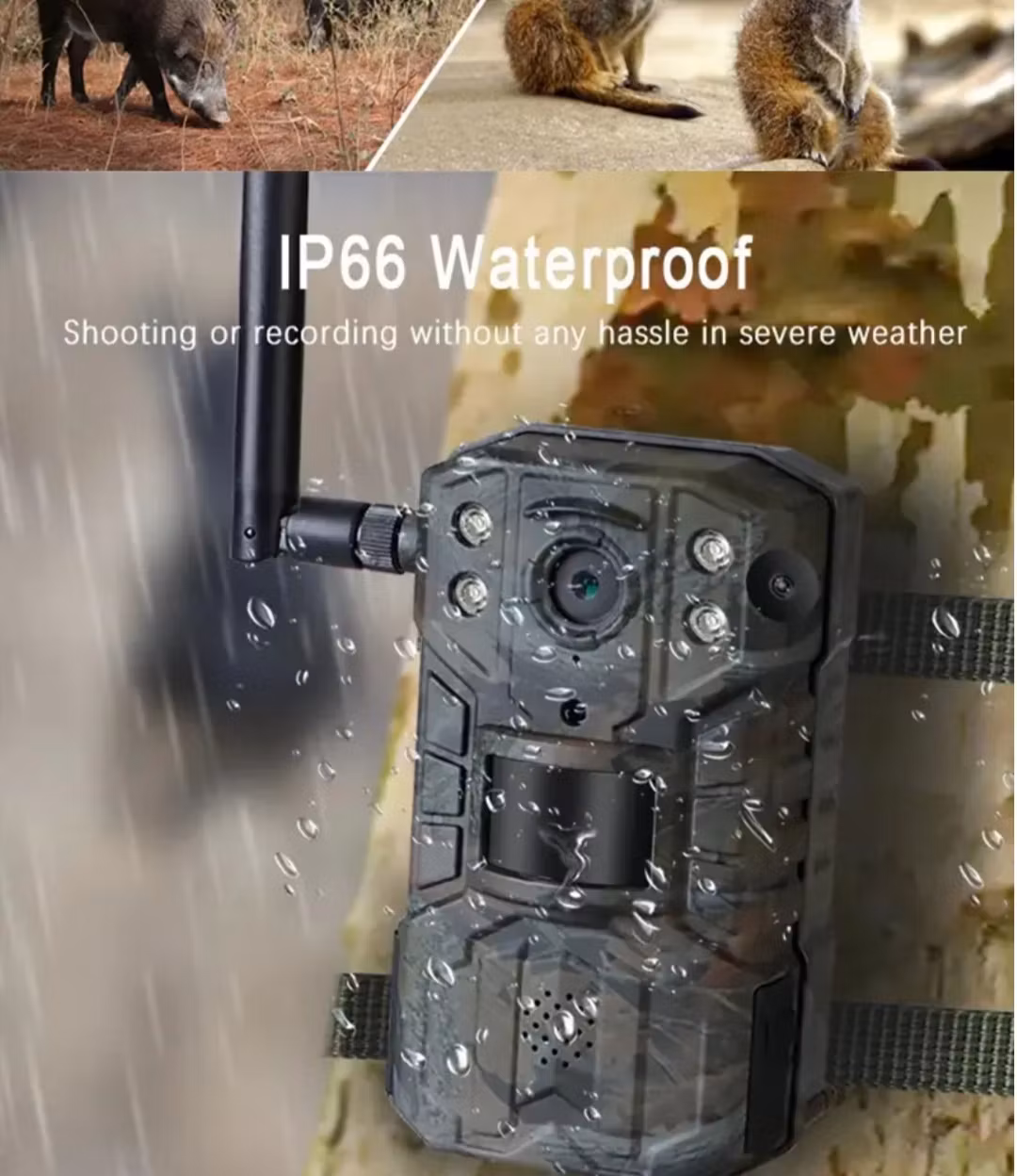 Vattentät  4G wifi jaktkamera