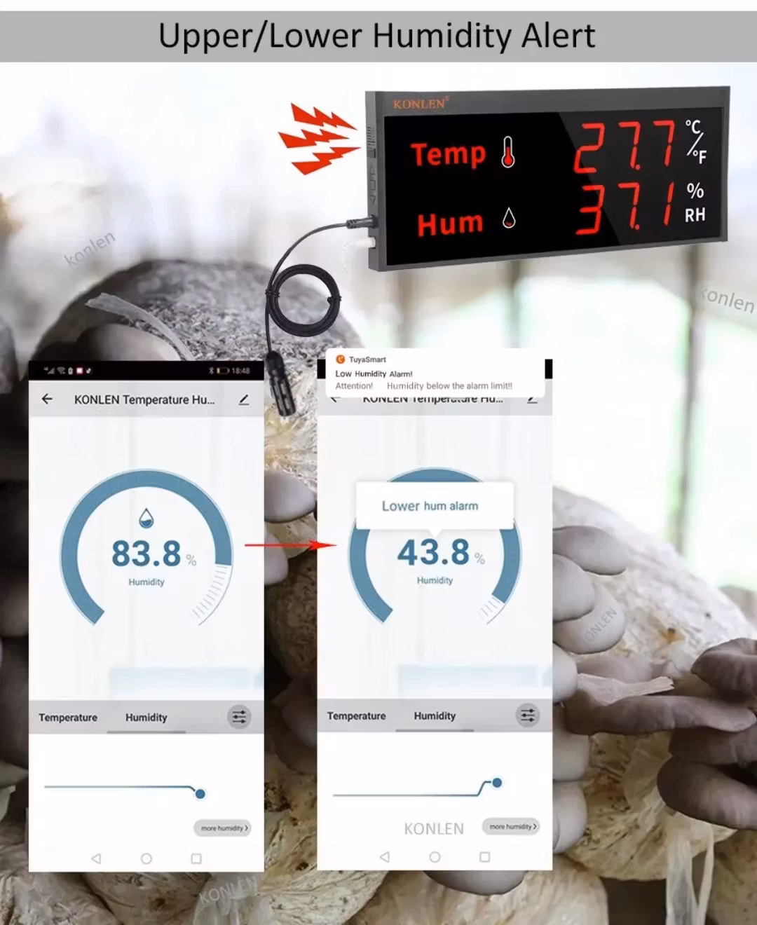 Smart WIFI-temperatur- och fuktighetssensor