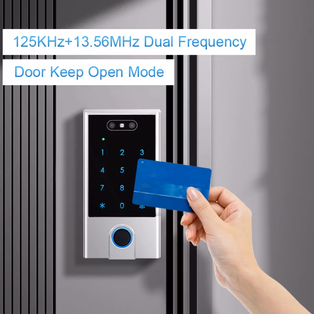 Tuya WiFi ansiktsåtkomstkontroll